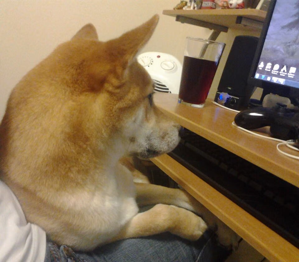 【训练场景】顶尖运动员练习攻守转换的日常训练流程,由攻转守c级教练班