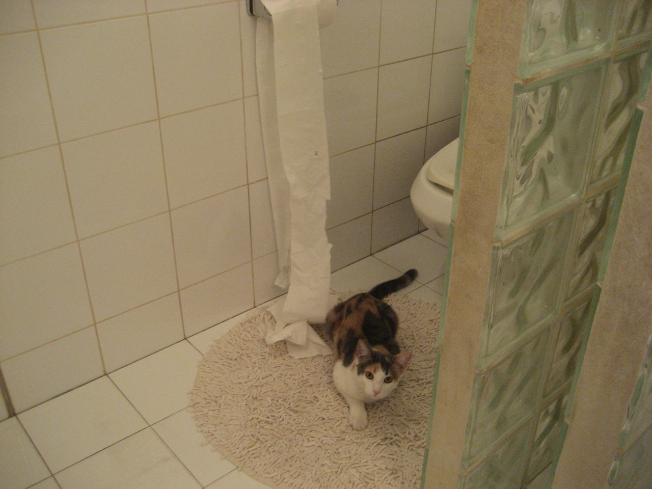 九游网游官网-【运动员自述】丁俊晖：我平衡压力和比赛心态的秘诀，丁俊晖是哪项运动的职业选手