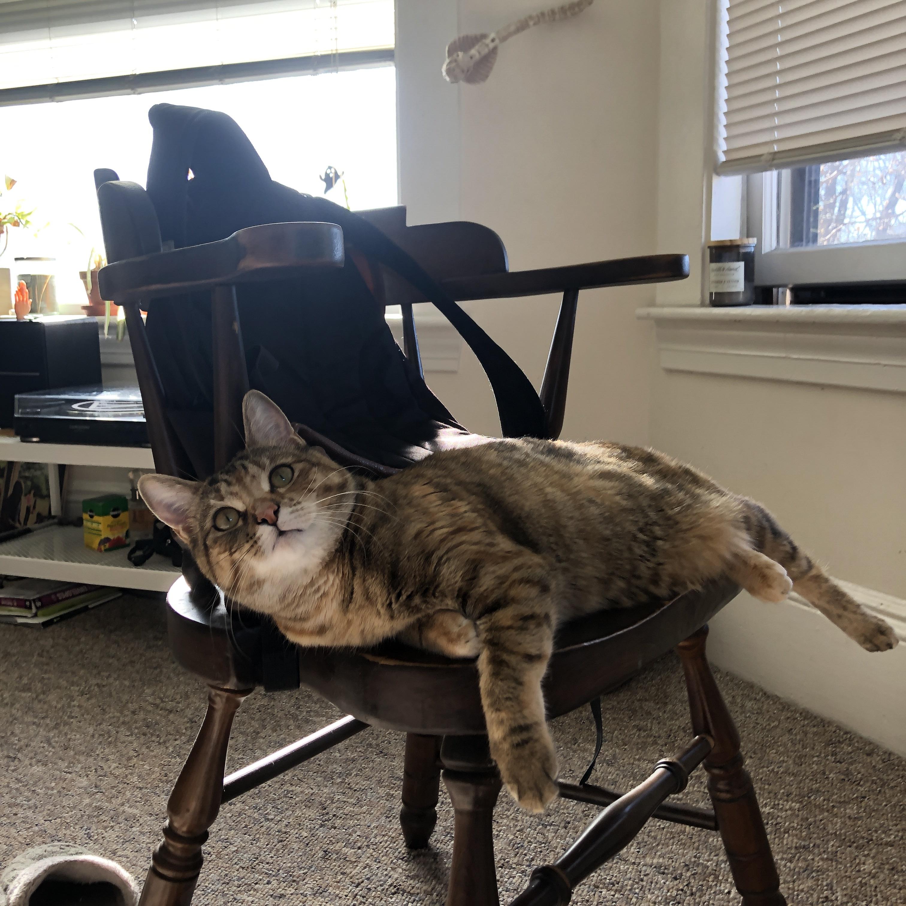 JiuyouAPP下载-乌拉圭男足在巴黎奥运会比赛中以3-1击败巴西，乌拉圭足球奥运会