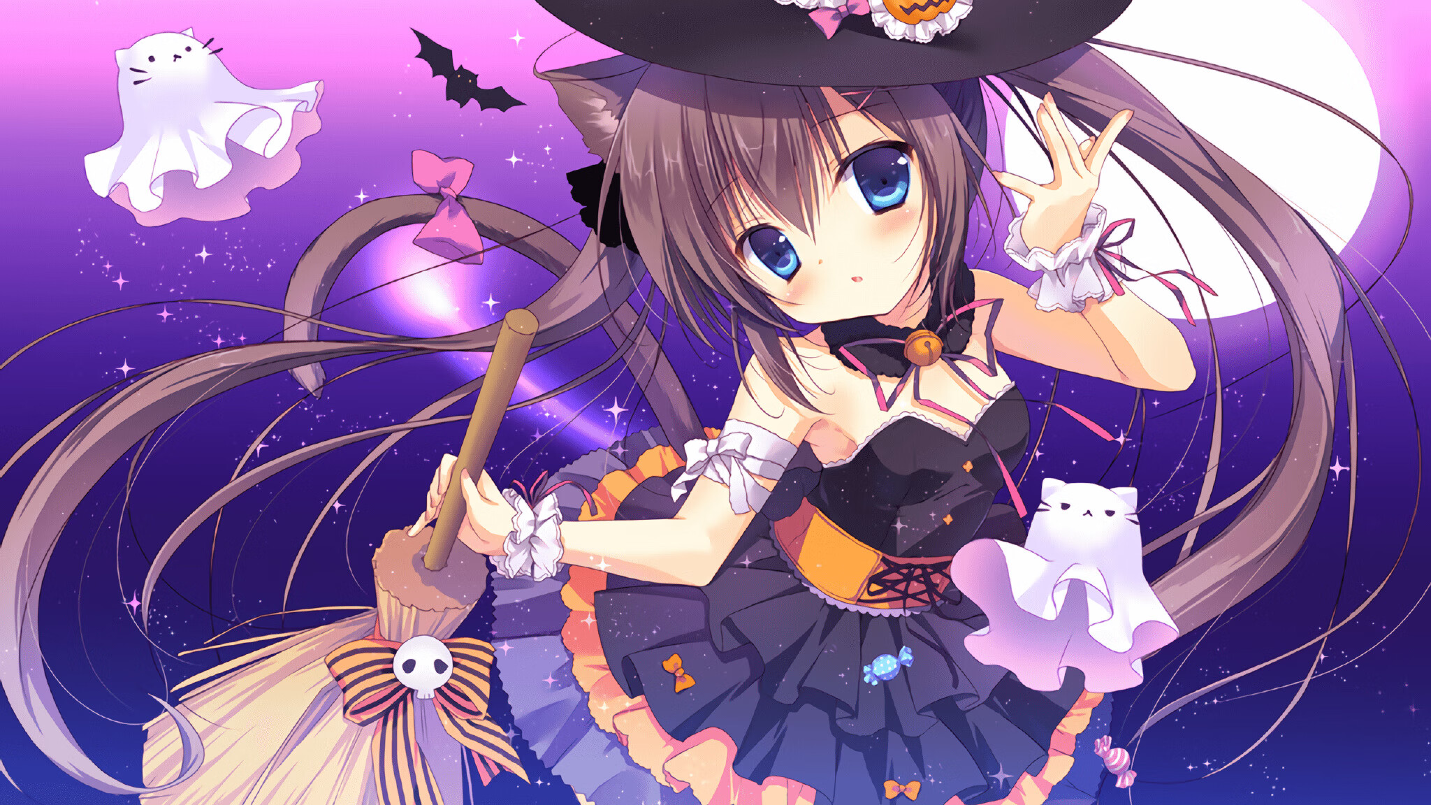 传统武术套路表演,文化与运动融合展演,武术传统套路选编