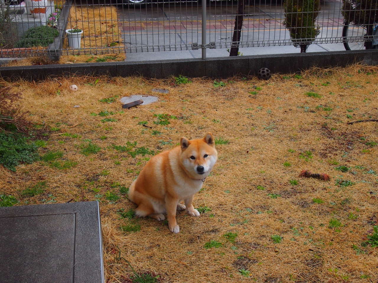 小型飞碟狙击竞技,精准射击的技术比拼,微型飞碟