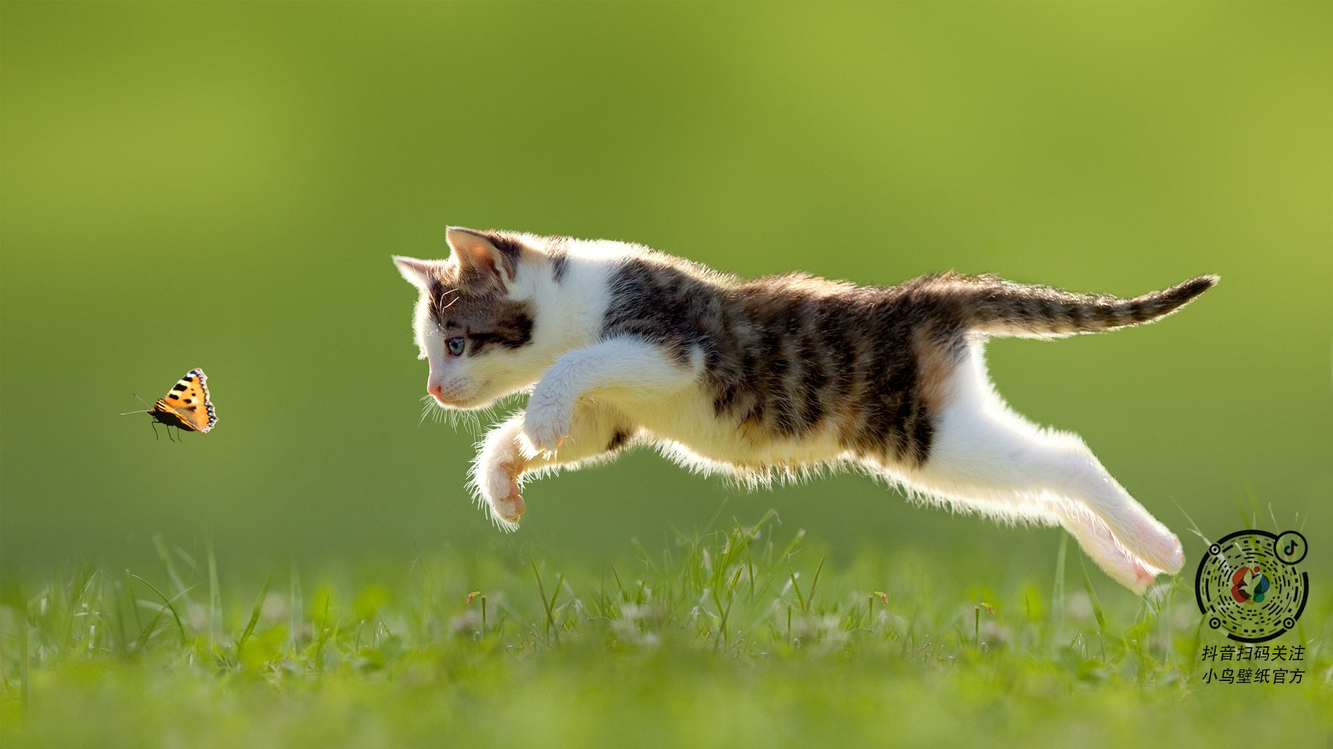 九游网游官网-创纪录体操动作难度评分突破，体操有没有世界纪录