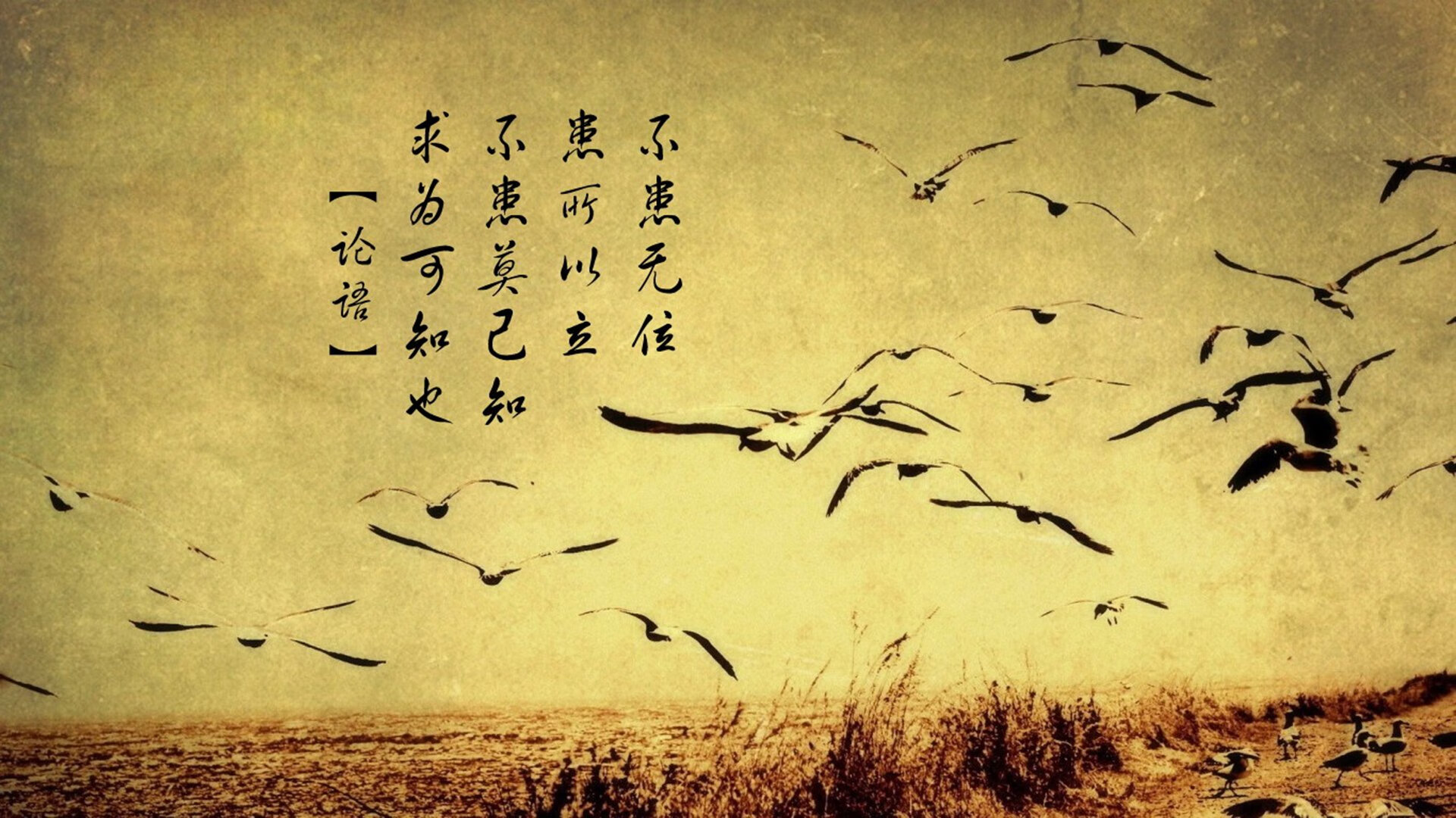 Jiuyou-爱尔兰胜哈萨克斯坦，欧洲国家联赛高光时刻，爱尔兰甲组联赛直播