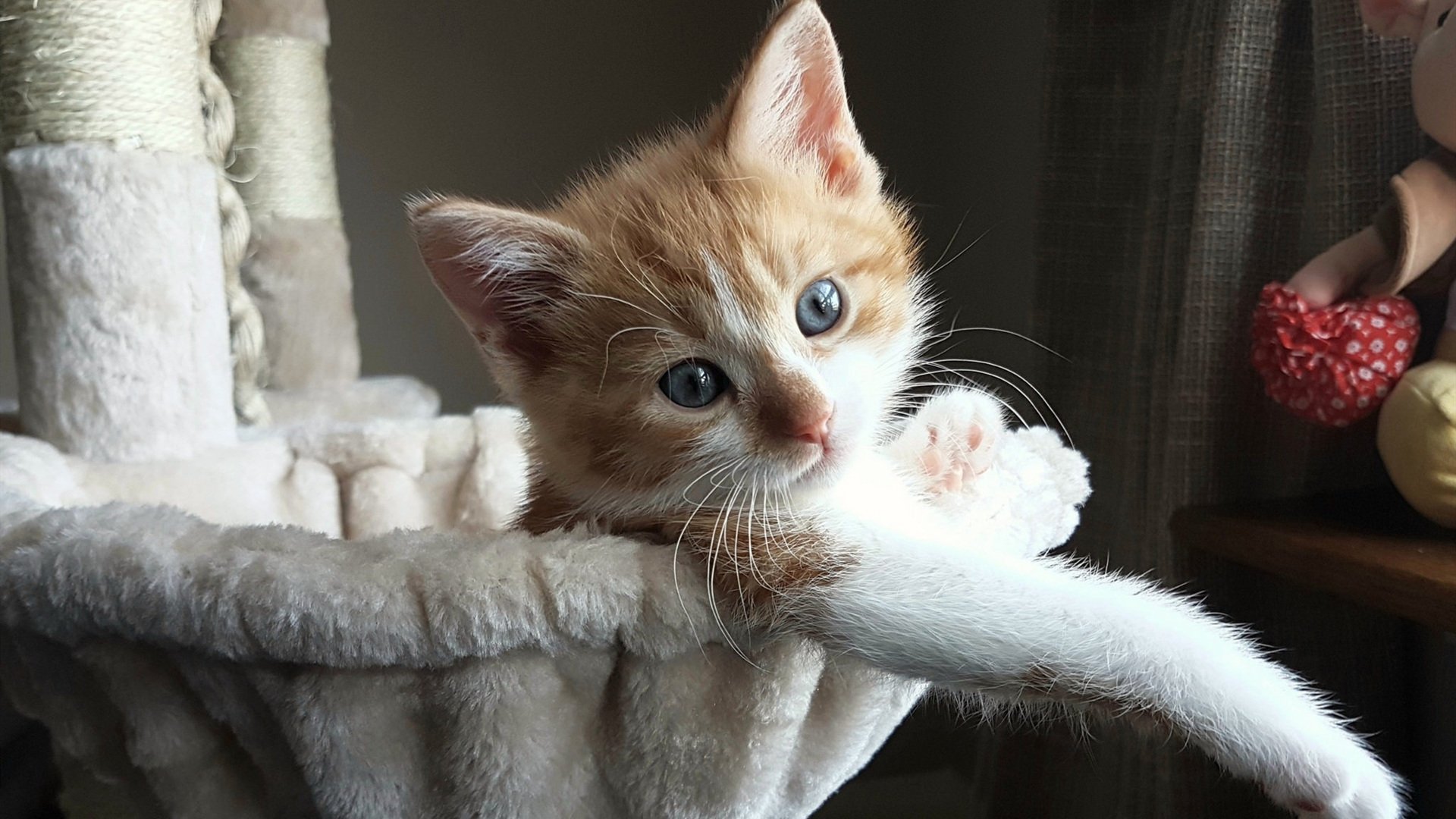 九游下载官网-葡萄牙队在大赛中击败对手，晋级决赛阶段，2021葡萄牙队比赛视频