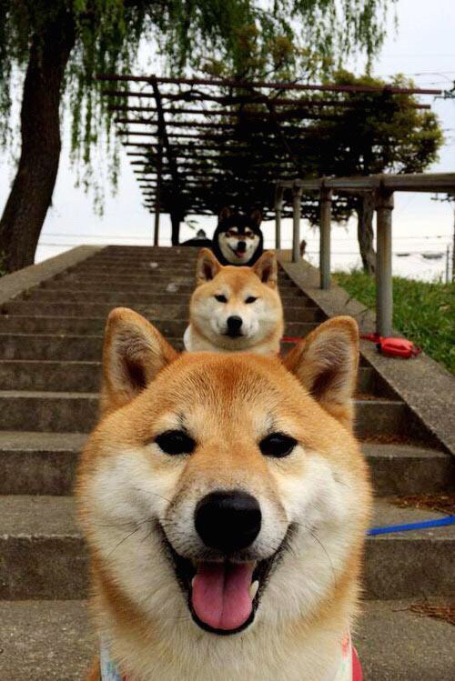 NBA球队主场优势及影响因素，nba各球队主场名字