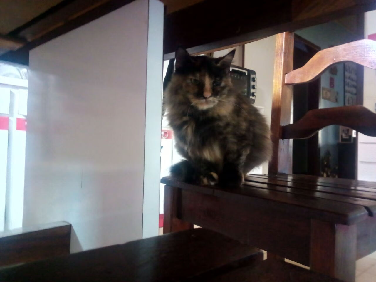 中国篮球职业联赛赛事数据分析与战术应用研究,中国篮球协会大数据