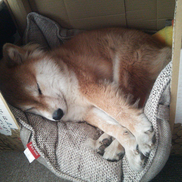 -中超联赛红黄牌数据总览，中超官网数据红黄牌