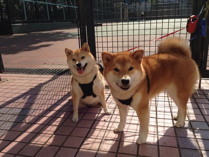 运动装备技术标准升级，运动装备资讯