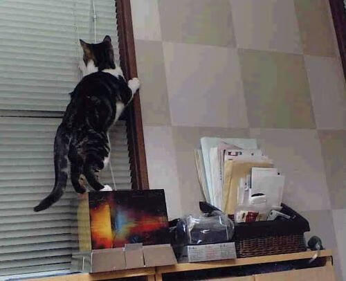 勇士教练团队与球员共同讨论轮换计划，勇士教练历任主教练