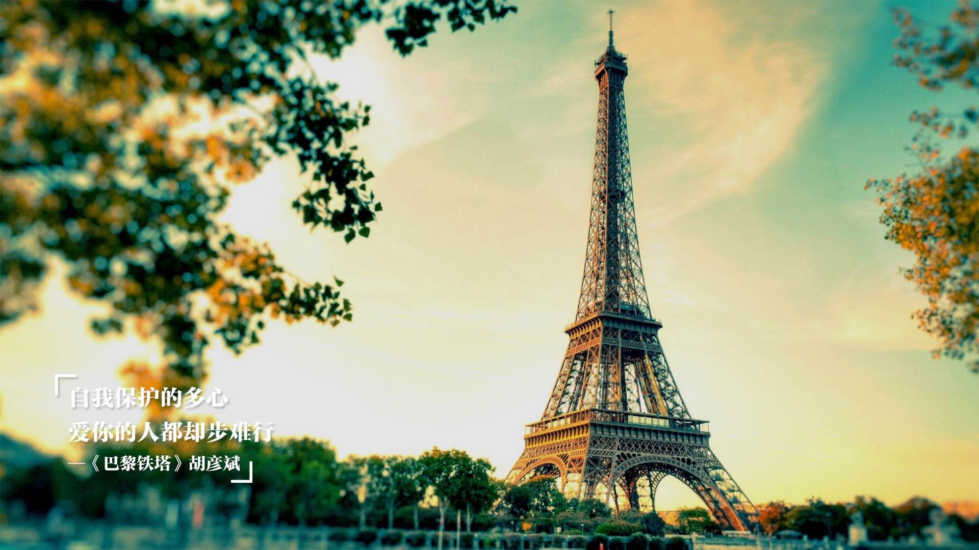 Jiu You-女子篮球联盟引入国际先进战术理念丰富打法，女子篮球联赛叫什么