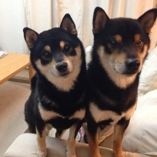 库里末节三分命中帮助勇士锁定胜局,库里第三节23分