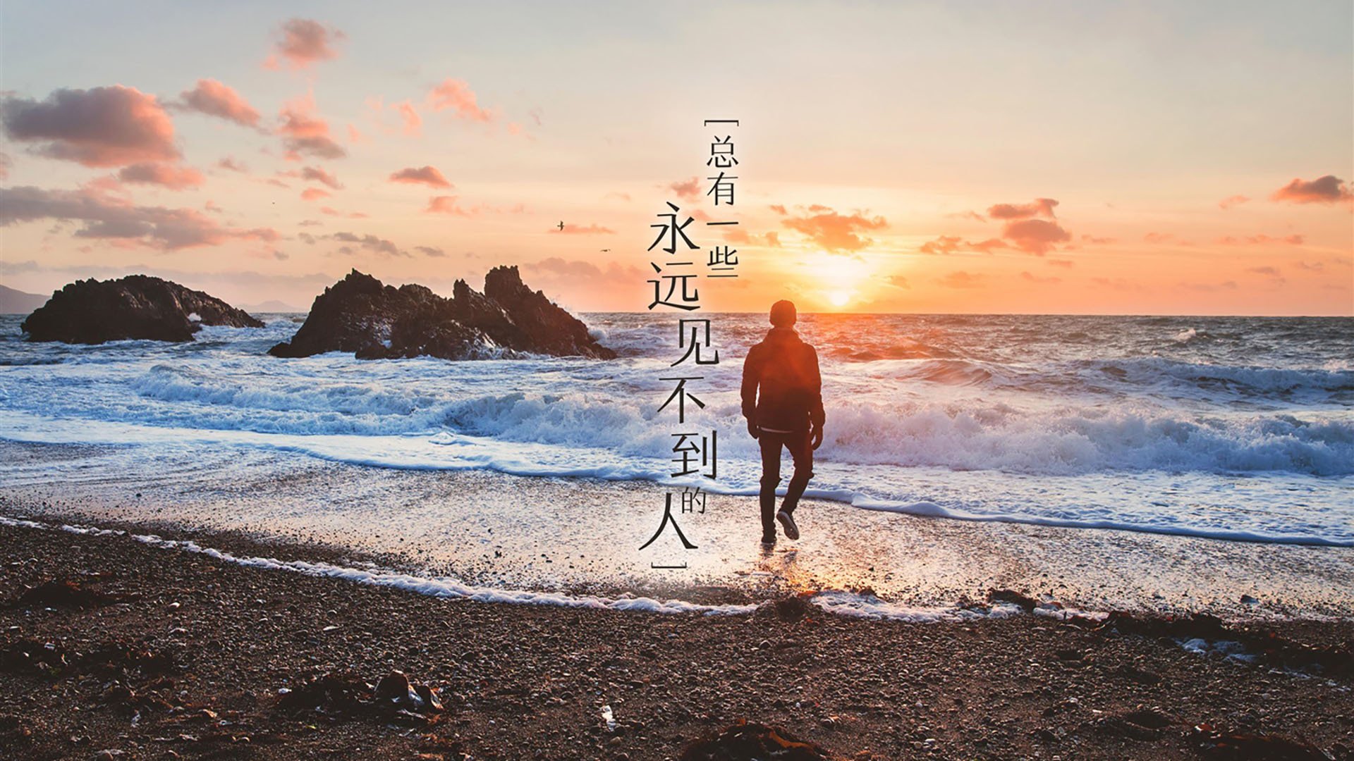 戴维·帕特森:袋鼠队攻防两端的稳定力量,ufc袋鼠