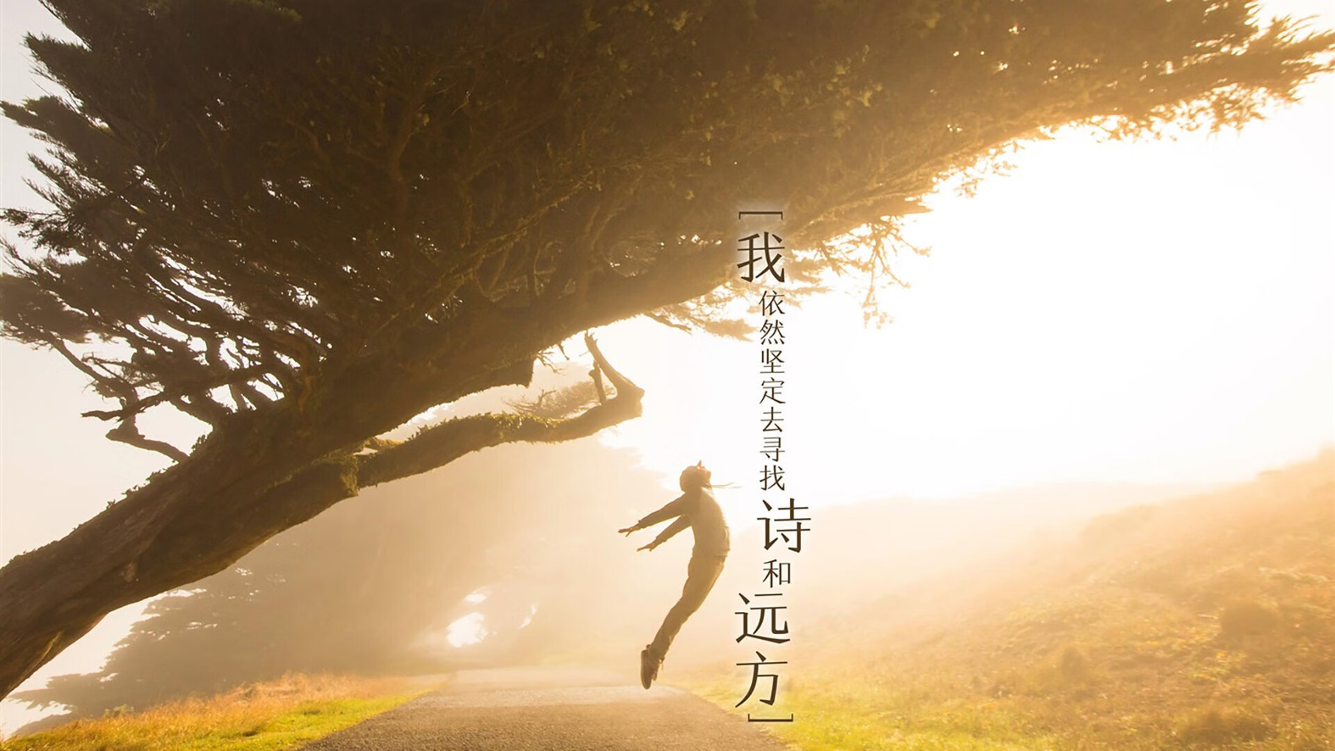 袋鼠队灵活多变的打法,持续增加赛场上不确定性,袋鼠组合