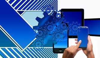 九游娱乐(jiuyou)官方网站-中国篮球联赛品牌建设及粉丝经济研究，国内篮球职业联赛