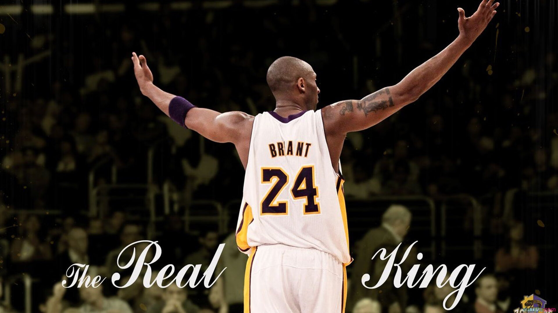 中国篮球联赛品牌建设策略与粉丝经济发展路径,中国国内的篮球联赛简称